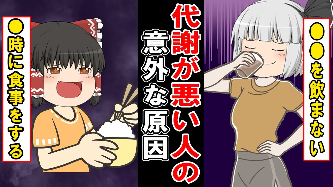 【すぐ太る】絶対にやってはいけない代謝が悪くなる最悪な習慣とは…【ゆっくり解説】