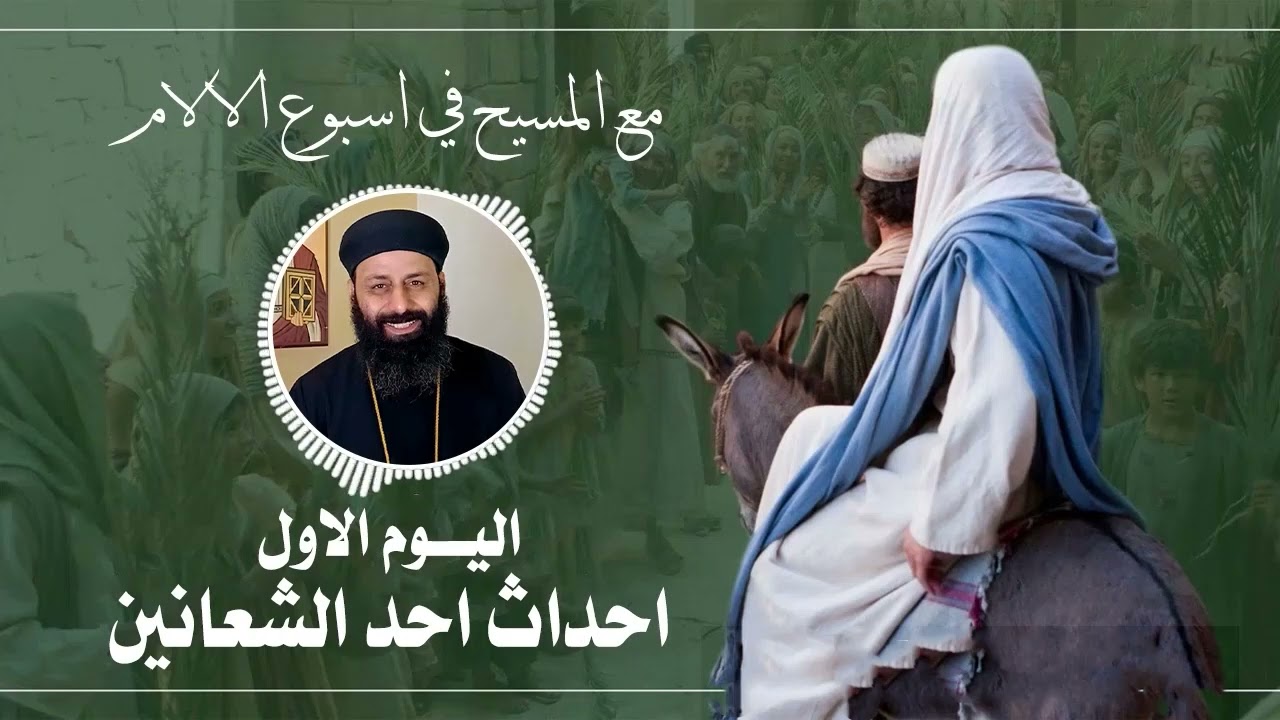 احداث احد الشعانين - مع المسيح في اسبوع الالام - ابونا تاوضروس ويصا