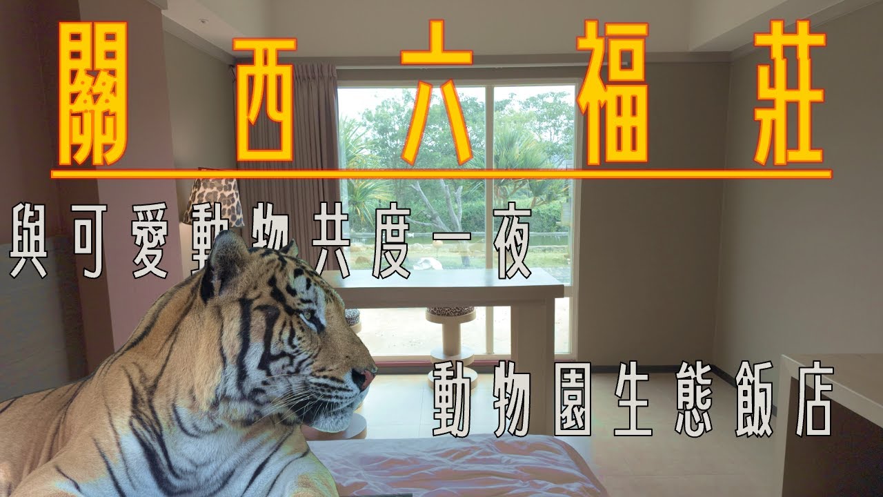 桃園｜與野生動物共度一夜｜從來沒想過要來六福村過夜的遊樂園飯店｜六福莊