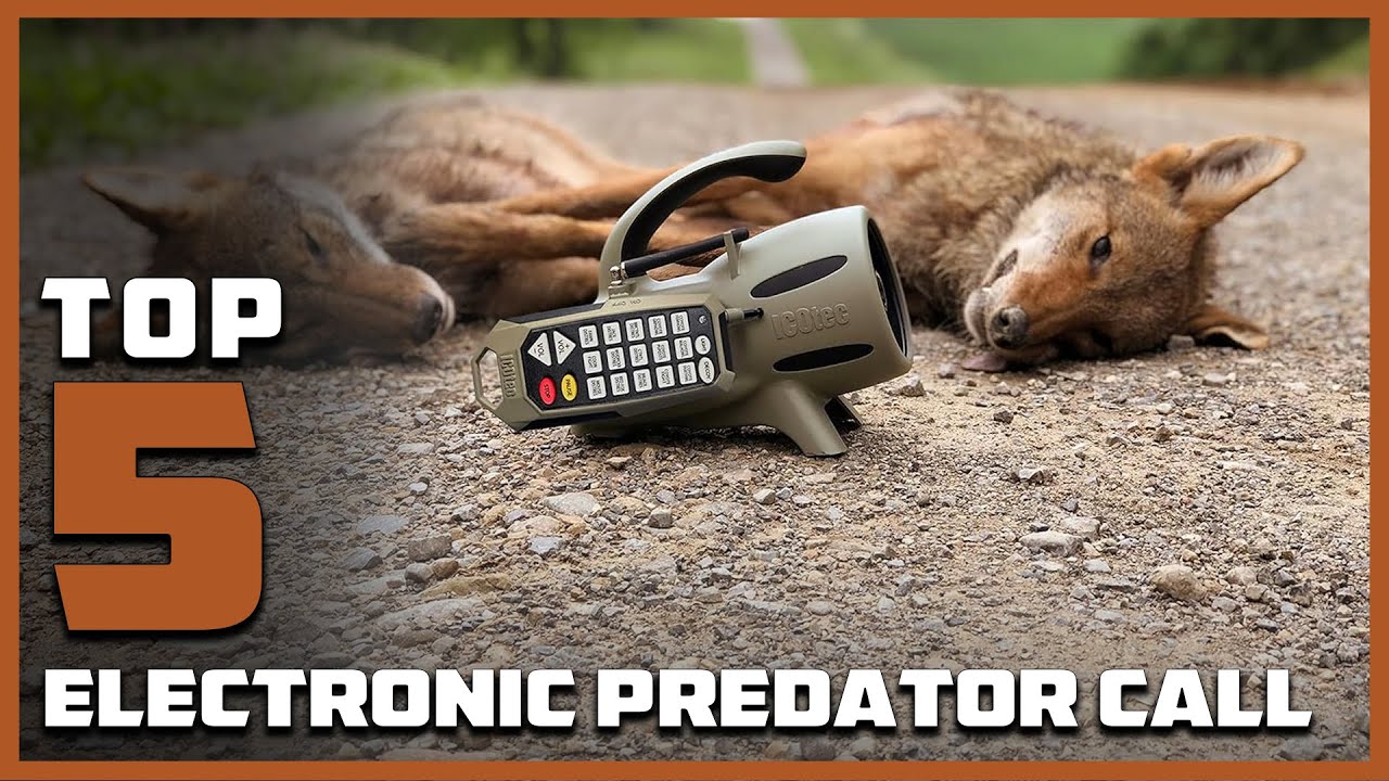 A Hunter's Secret Weapon: 5 Best Electronic Predator Calls