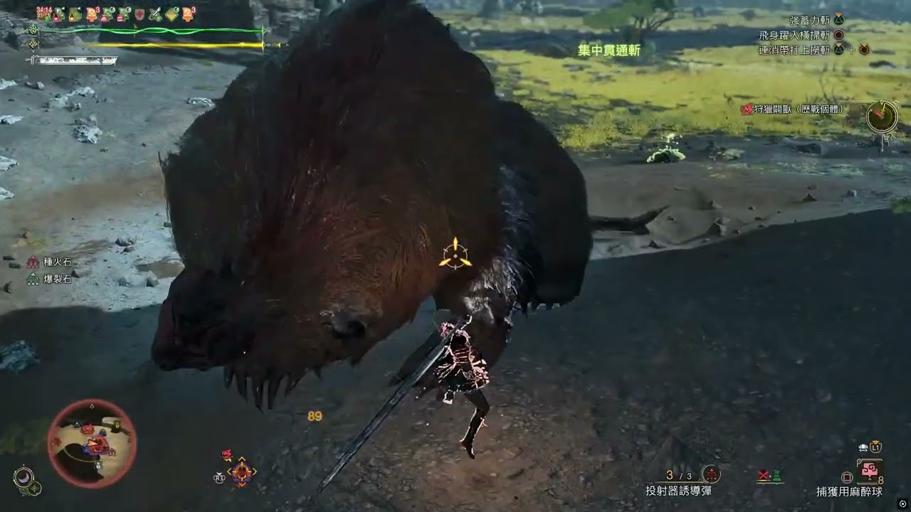 MHWs 9星闢獸 05'19'19