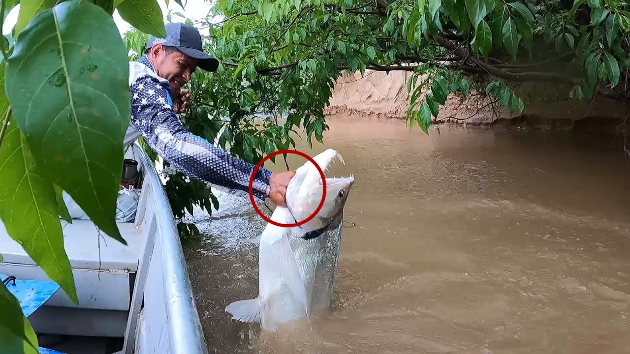 Pesca, campamento y asado a la orilla del rio, capturamos mas de 5 grandes especies diferentes !