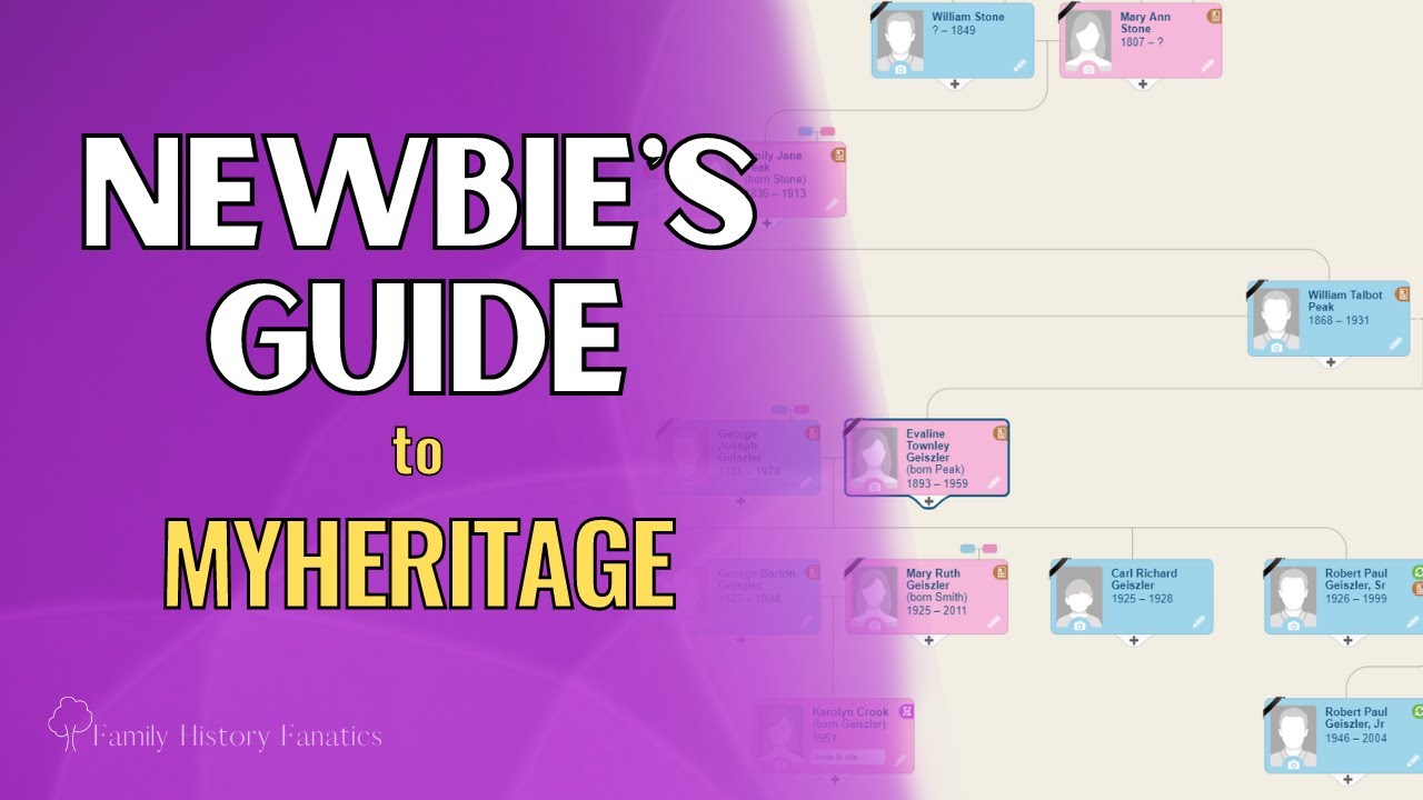 Руководство для новичков по сайту MyHeritage — Генеалогические исследования