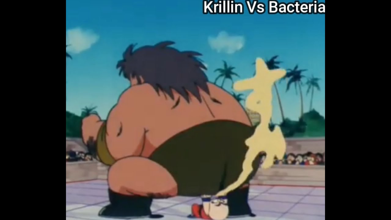 Dragon Ball - Krillin Vs Bacteria