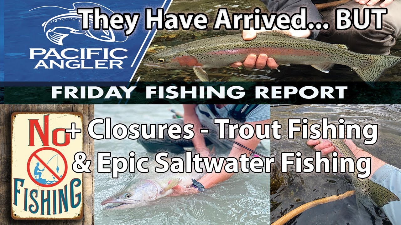 Vancouver Fishing Report - Pinks are Here - Amazing Saltwater Fishing  + Strange Fishing Closures