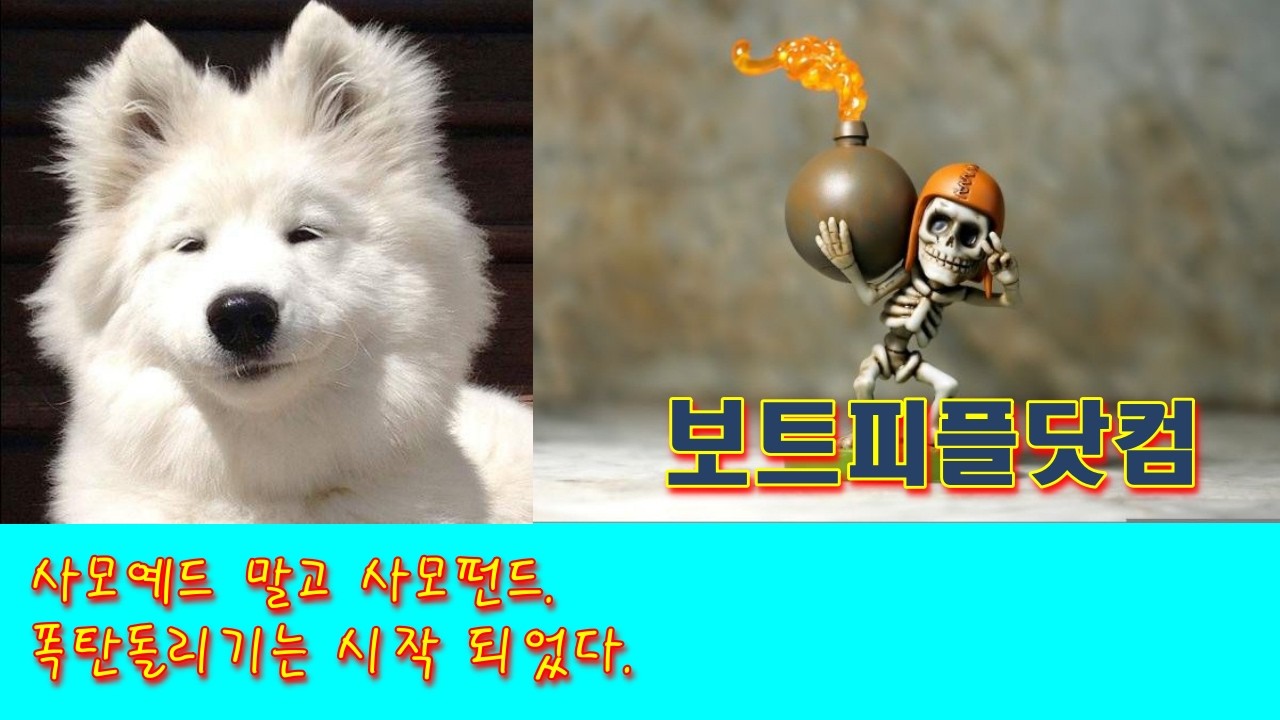 사모예드 말고 사모펀드.   /   폭탄돌리기는 시작 되었다.