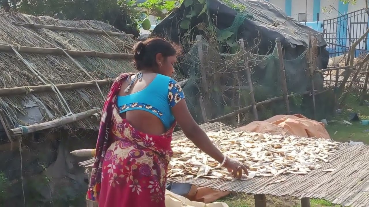 আর জল দা খুটির জরদা ব্রিজ এবং সুখা মাছ দেখতে গেলাম. #viral #villagelife #villagevlog #digha 