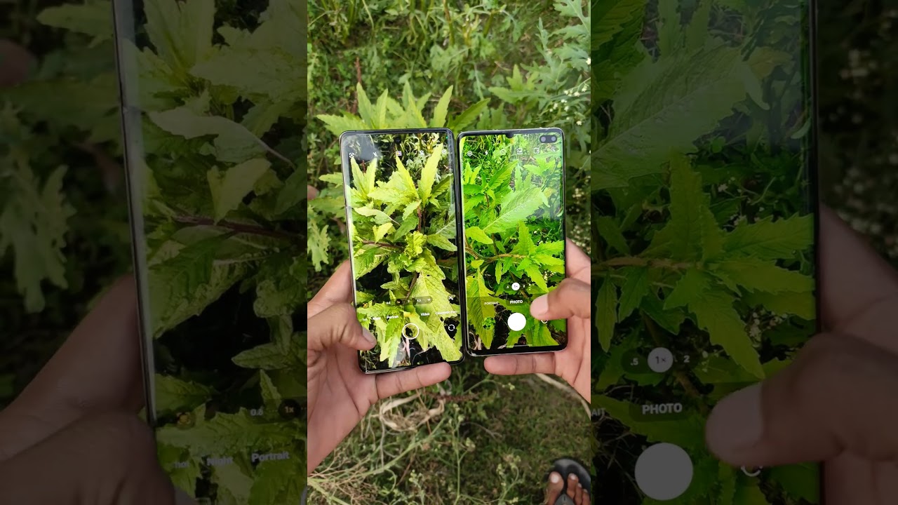 Vivo x100 pro VS Samsung Galaxy S10 plus Camera Test #ytshorts #youtubeshorts #viralshorts