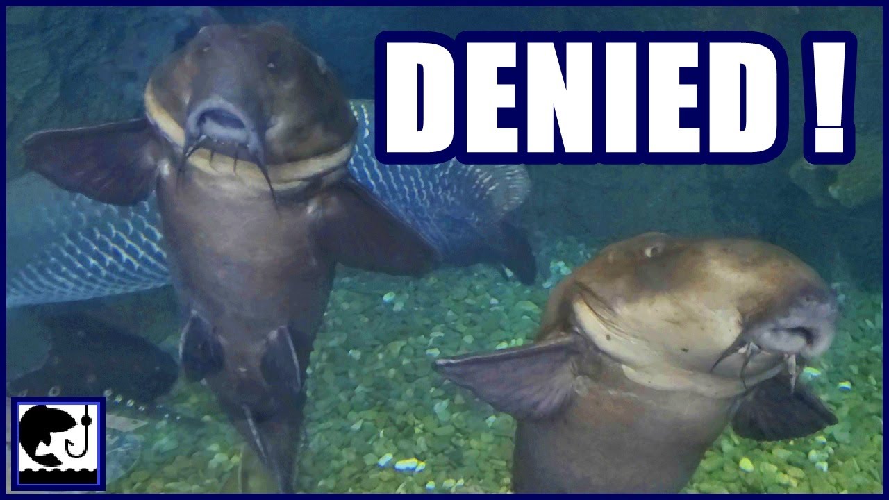 They Would NOT Let Me Fish Here !!!