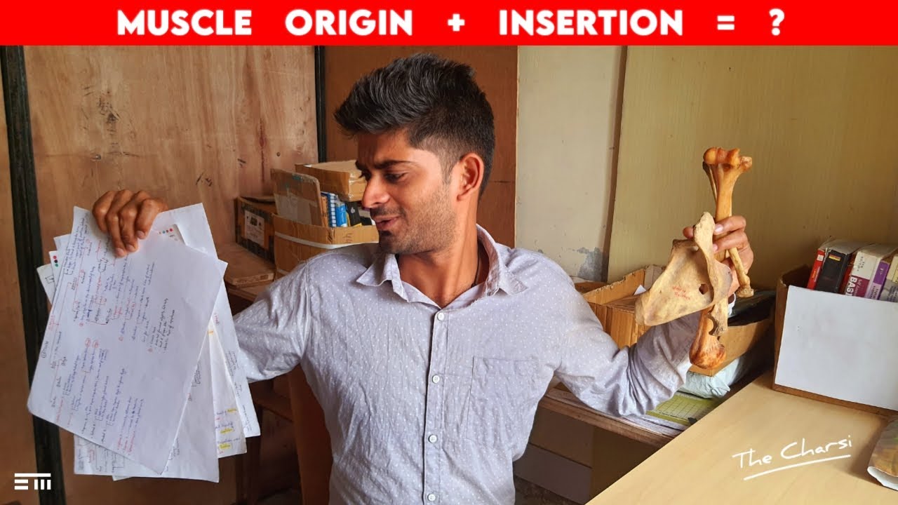 How to Remember Muscle Origin and Insertion | Dr. Pawan nagar