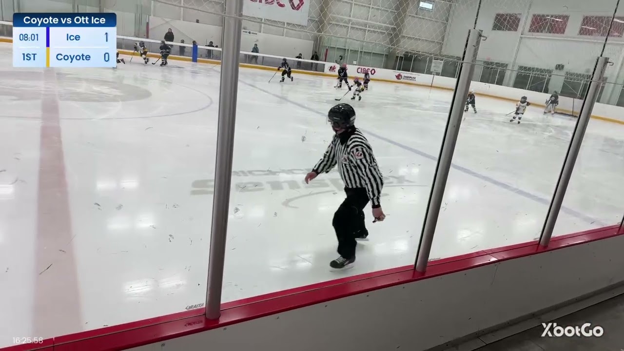 Coyotes vs Ice part 1 February 16, 2026