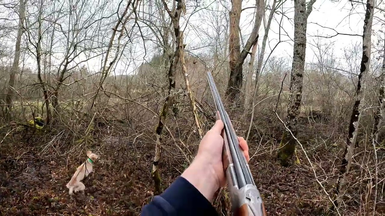 Salem de la cote de la perdrix becasse 16 février 29026