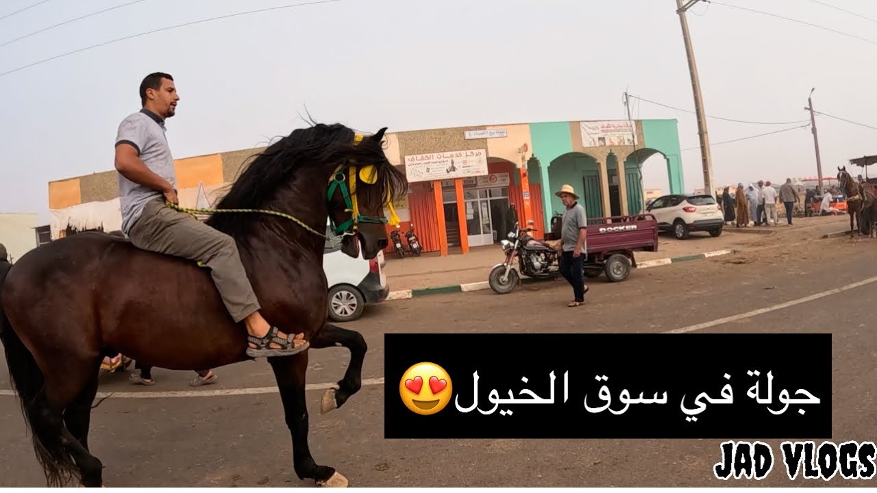 يوم جديد🌞جولة في سوق الخيول🐎أربعاء لكفاف إقليم خريبگة 🤩