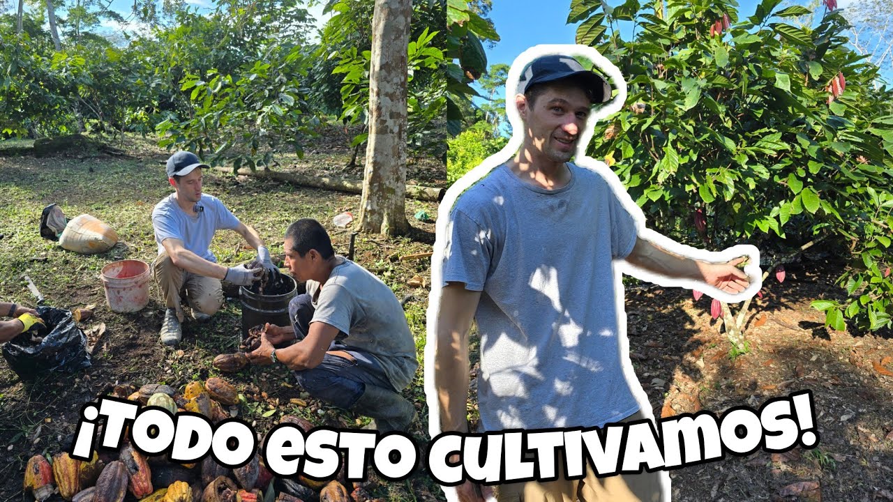 TOUR DE NUESTRA FINQUITA EN GUATEMALA 🇬🇹💕| cultivamos cacao😍🍫