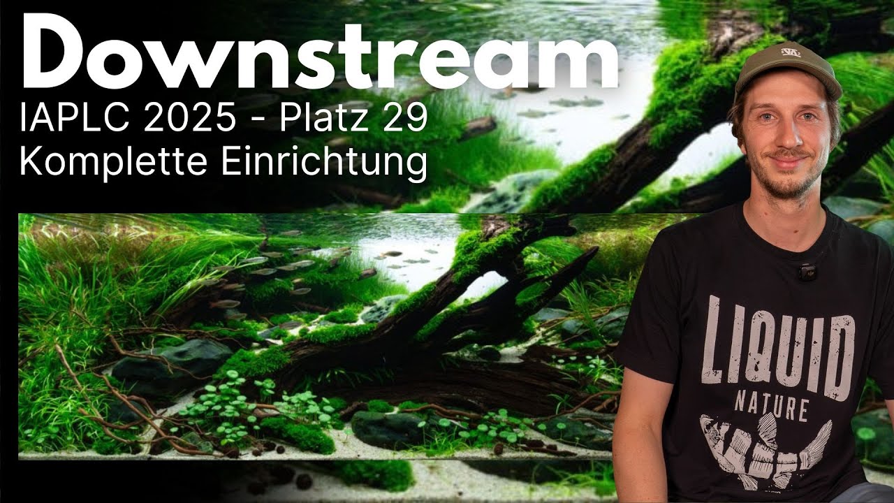 Aquascaping Tutorial: 120cm Nature Aquarium (Komplette Einrichtung)