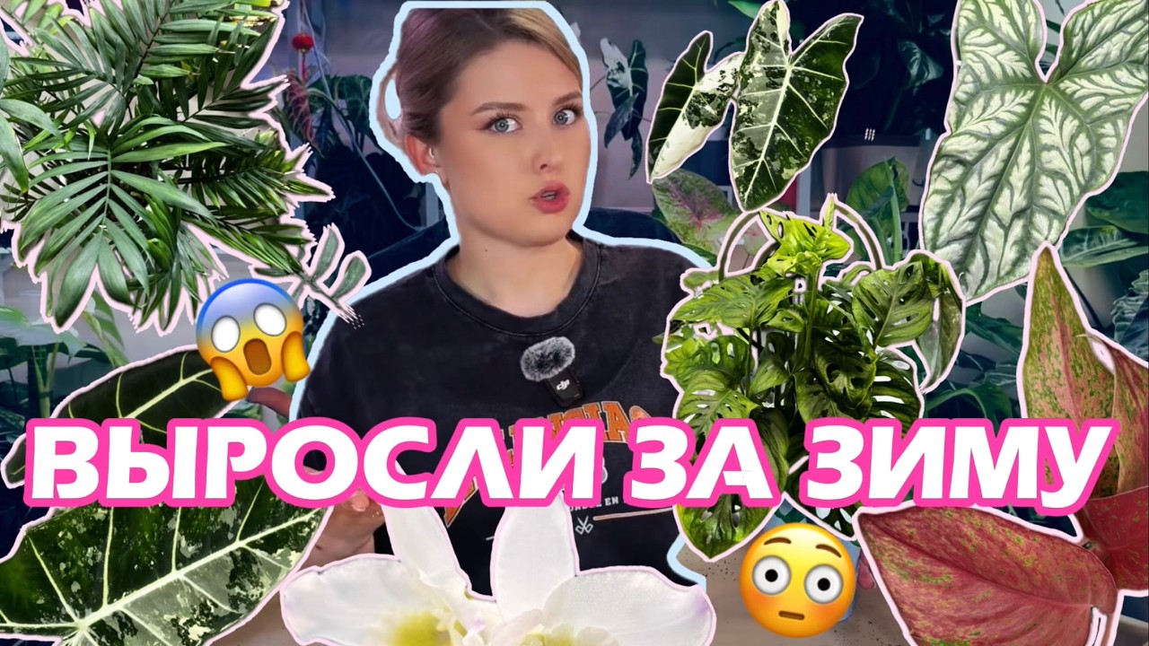 ЧТО СТАЛО с РАСТЕНИЯМИ после ЗИМЫ? 🌱 Грандиозная РАЗГОВОРНАЯ ПЕРЕСАДКА 😱