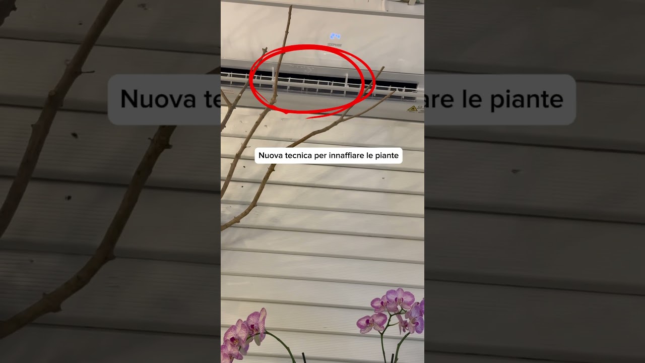 Nuova tecnica per inaffiare le piante