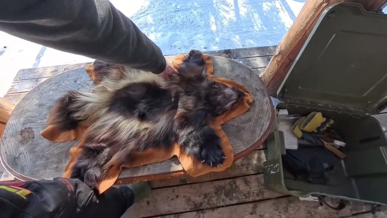 Жизнь в хижине вне цивилизации. День 23.