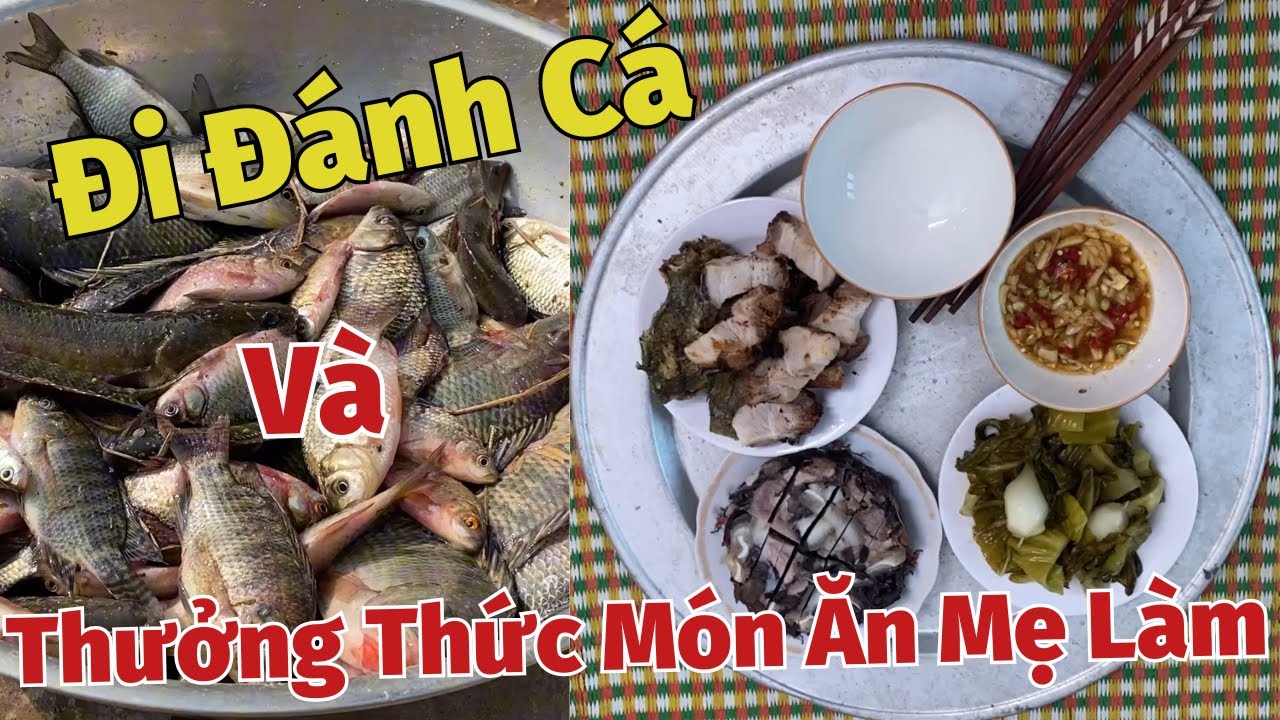 Đi Đánh Cá Và Thưởng Thức Món Ăn Mẹ Làm
