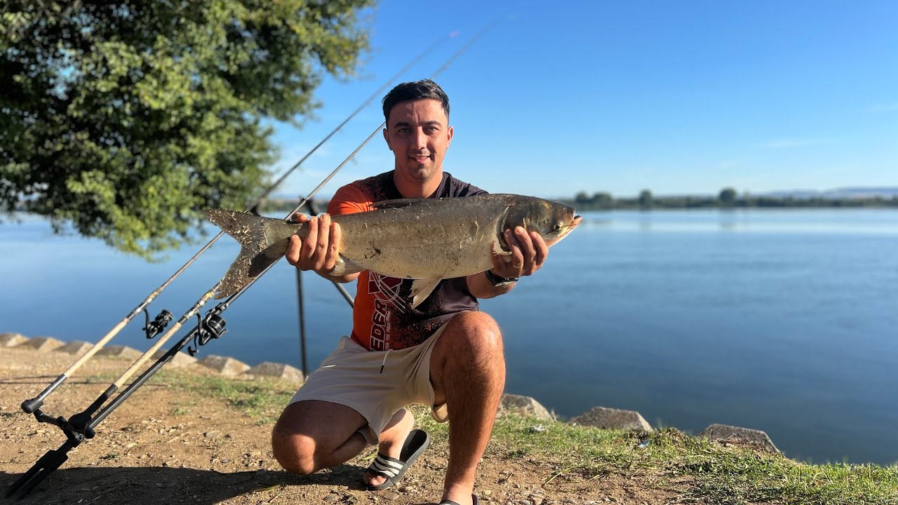 Pescuit la FITOFAG pe Dunăre! 26/27 AUGUST