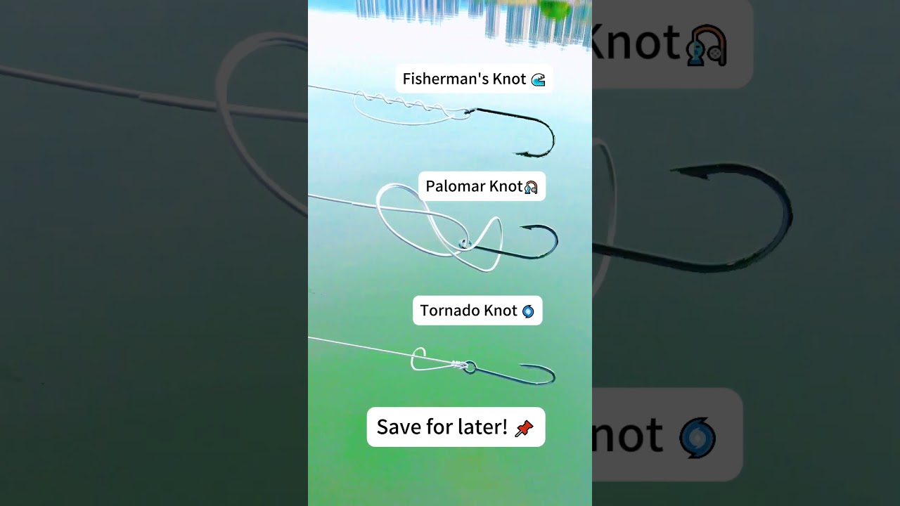 One Knot for Both Hook and Swivel &ndash; Simple, Strong, Smart!  #reeffun #fishing #fishingknots