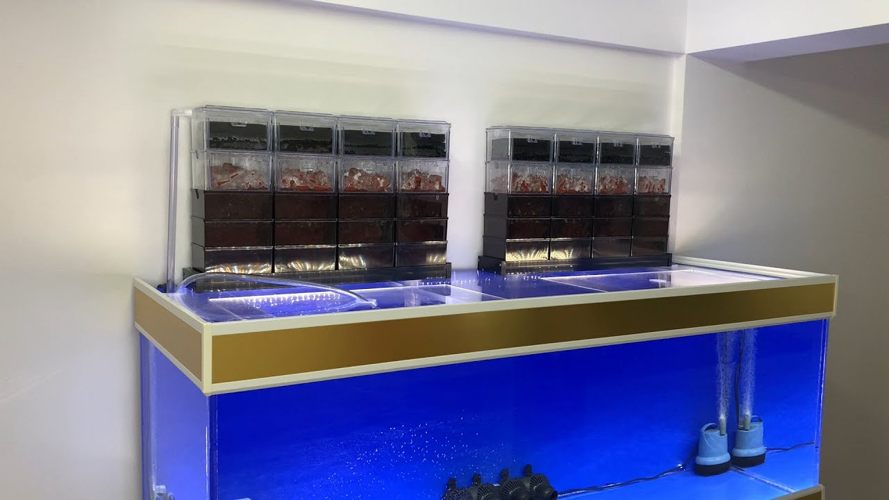 DIY Acrylic Aquarium - #3 Filtration, Filtration & Filtration