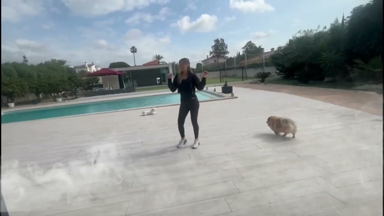 tentacion latina linedance