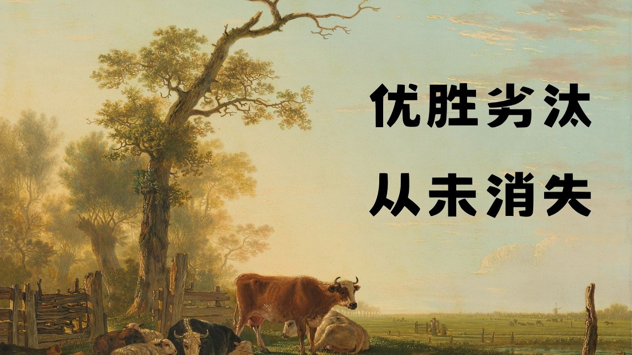 人类社会，是动物世界的升级版：看懂优胜劣汰，人生反而松弛了｜中年女性觉醒
