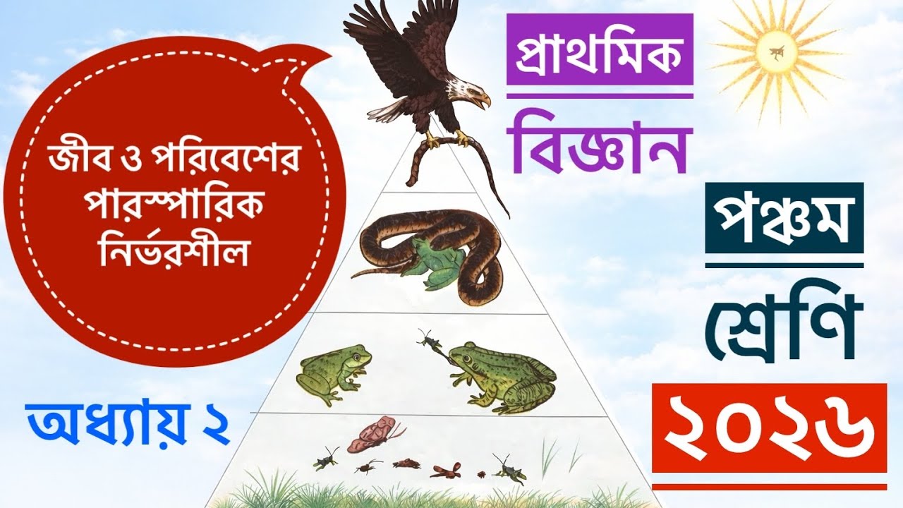 পঞ্চম শ্রেণি । প্রাথমিক বিজ্ঞান । অধ্যায় ২ ।জীব ও পরিবেশের পারস্পরিক নির্ভরশীলতা । পৃষ্ঠা ১১-২১।২০২৬