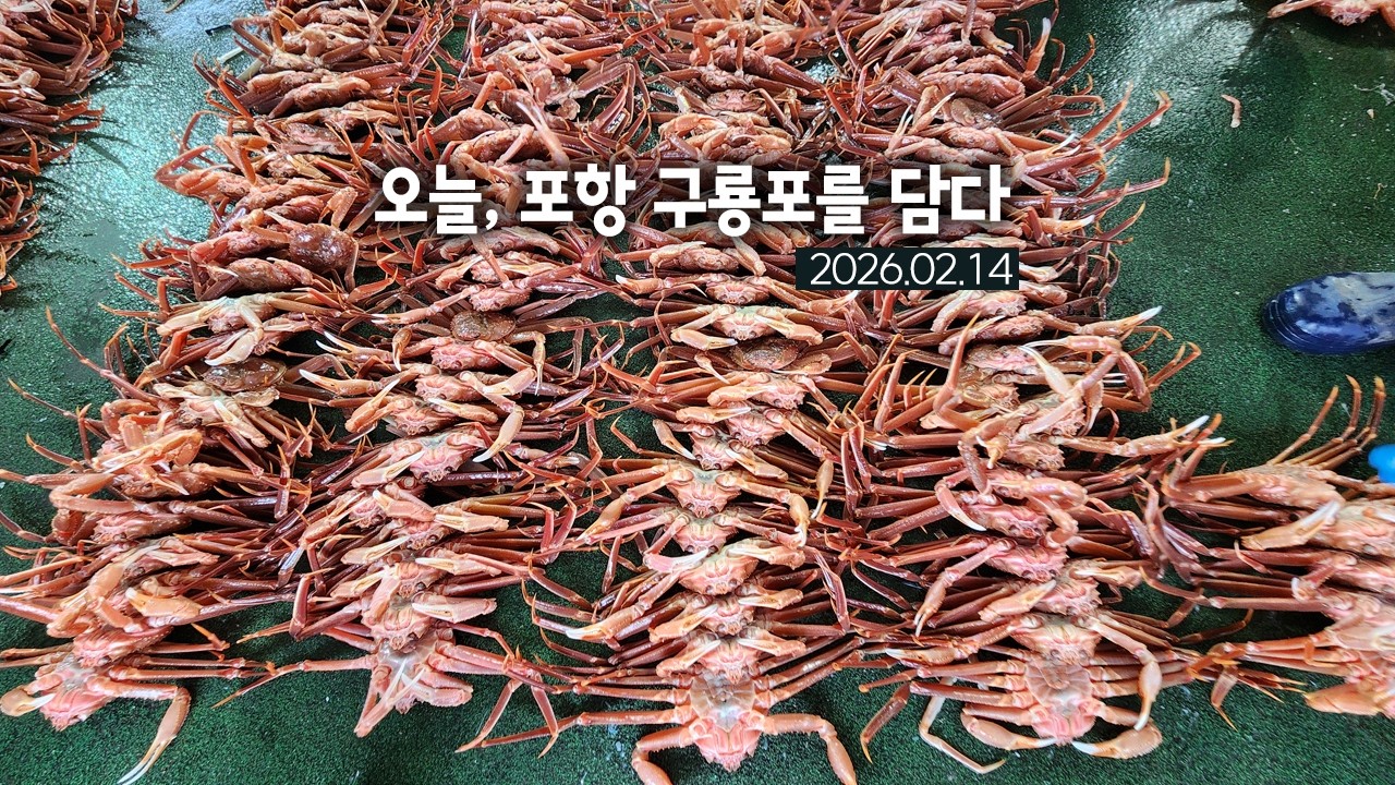 오늘, 포항 구룡포를 담다 2026.02.14
