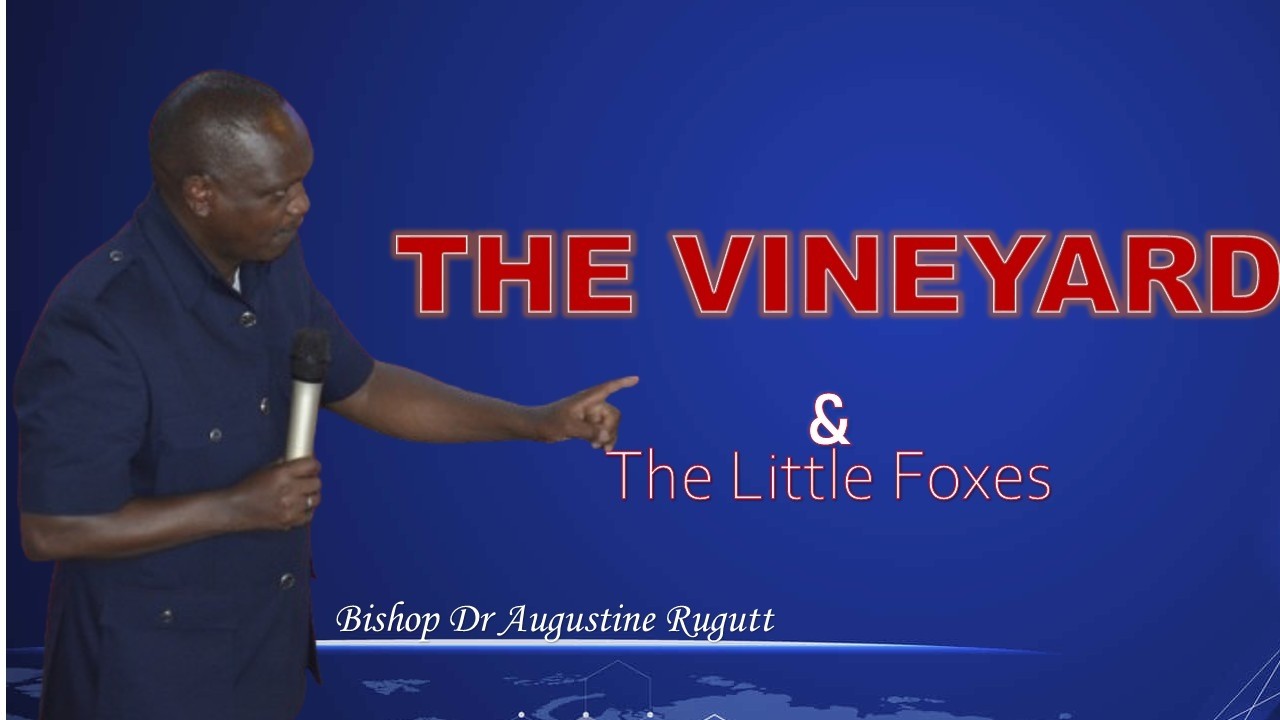 THE VINEYARD & THE LITTLE FOXES || BISHOP DR AUGUSTINE RUGUTT