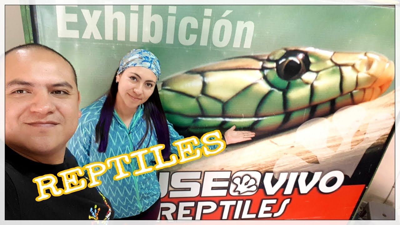 MUSEO DE REPTILES CUAUTLA  😮🦎🐍🐍