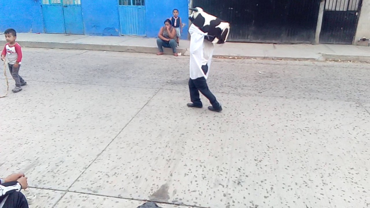 Torito infantil de silao gto