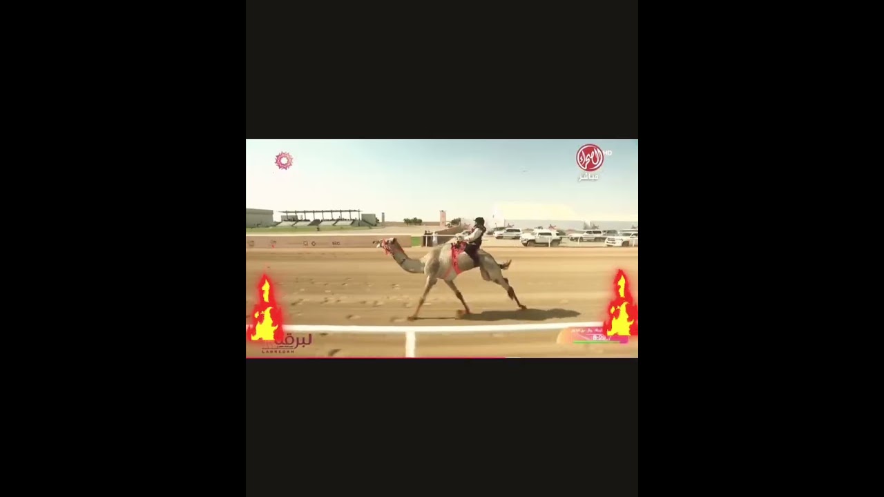 بشاير النواميس بشاير سلام والله على فعل بشاير الحويطي سلام ❤️‍🔥