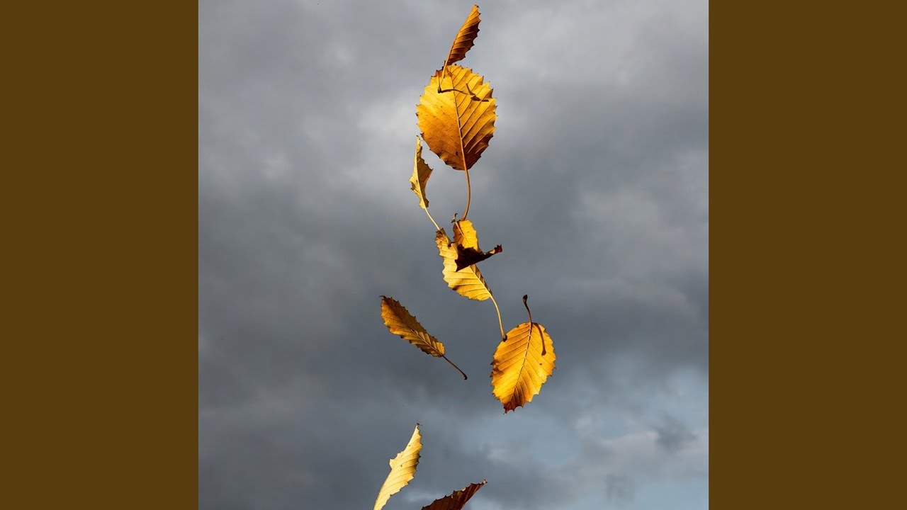 Last Leaves of Autumn