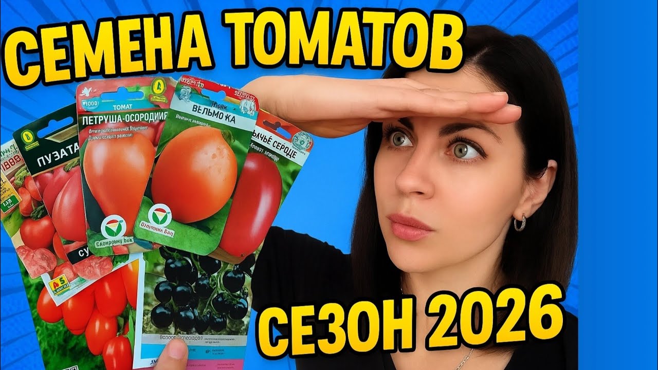 Не эксперт!! Но выбрала вот такие томаты на сезон 2026