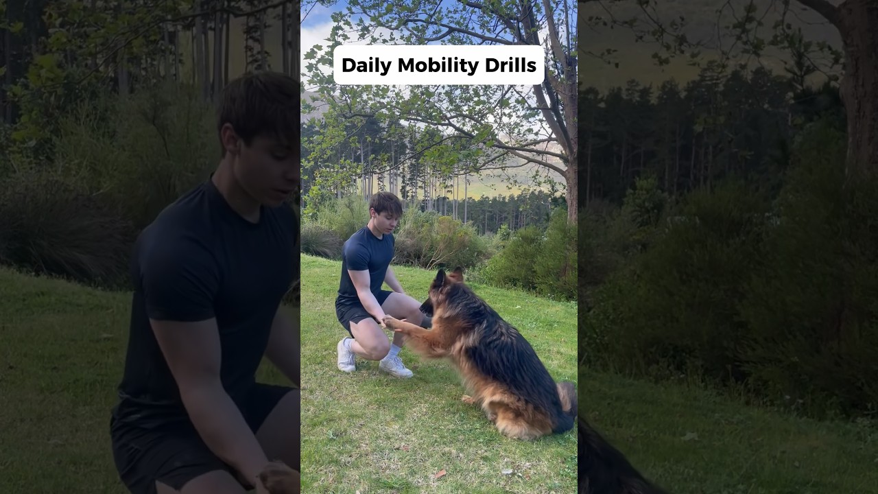 DO YOUR MOBILITY! #viral #trending #youtubeshorts #workout #motivation #shredded #nature #dog