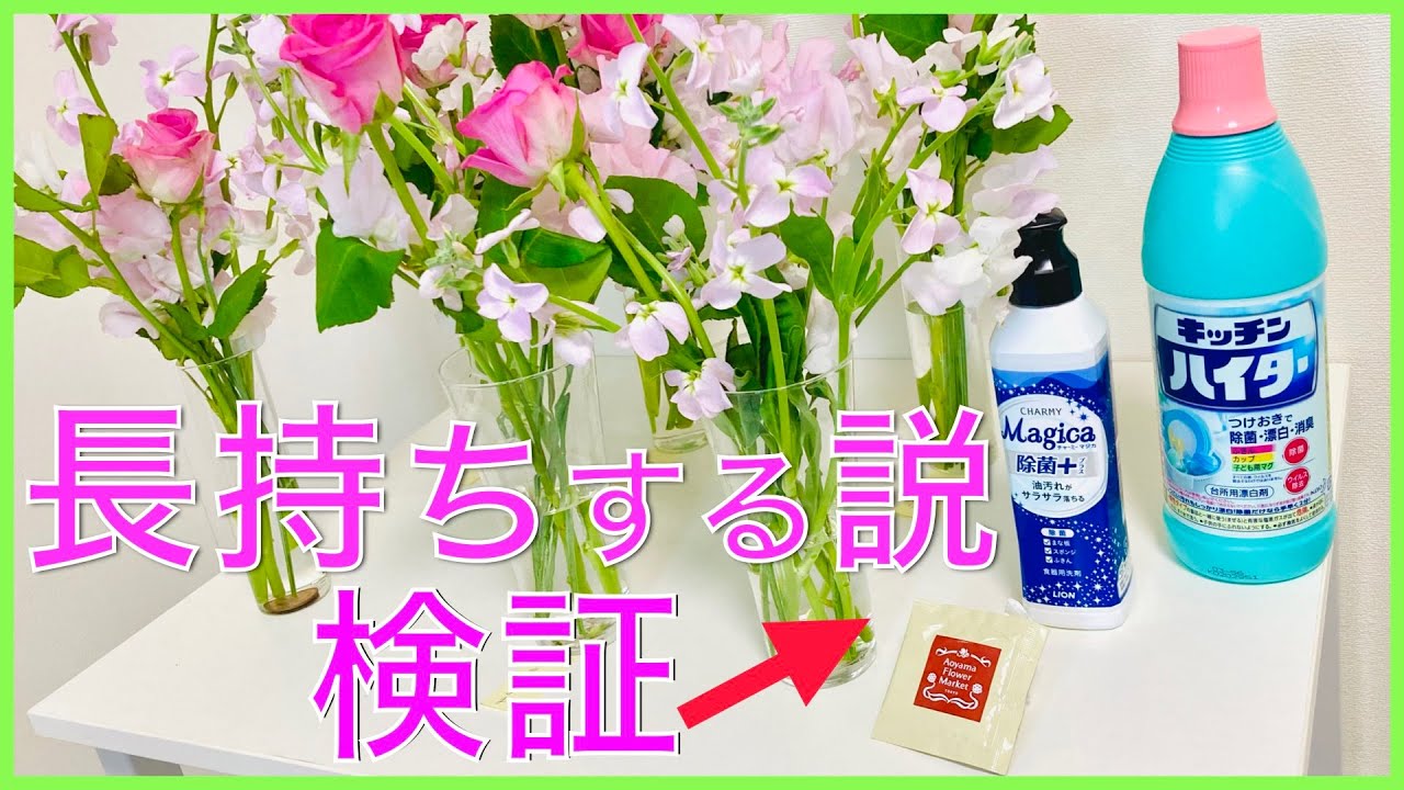 【意外な結果？】切り花長持ちさせる方法選手権