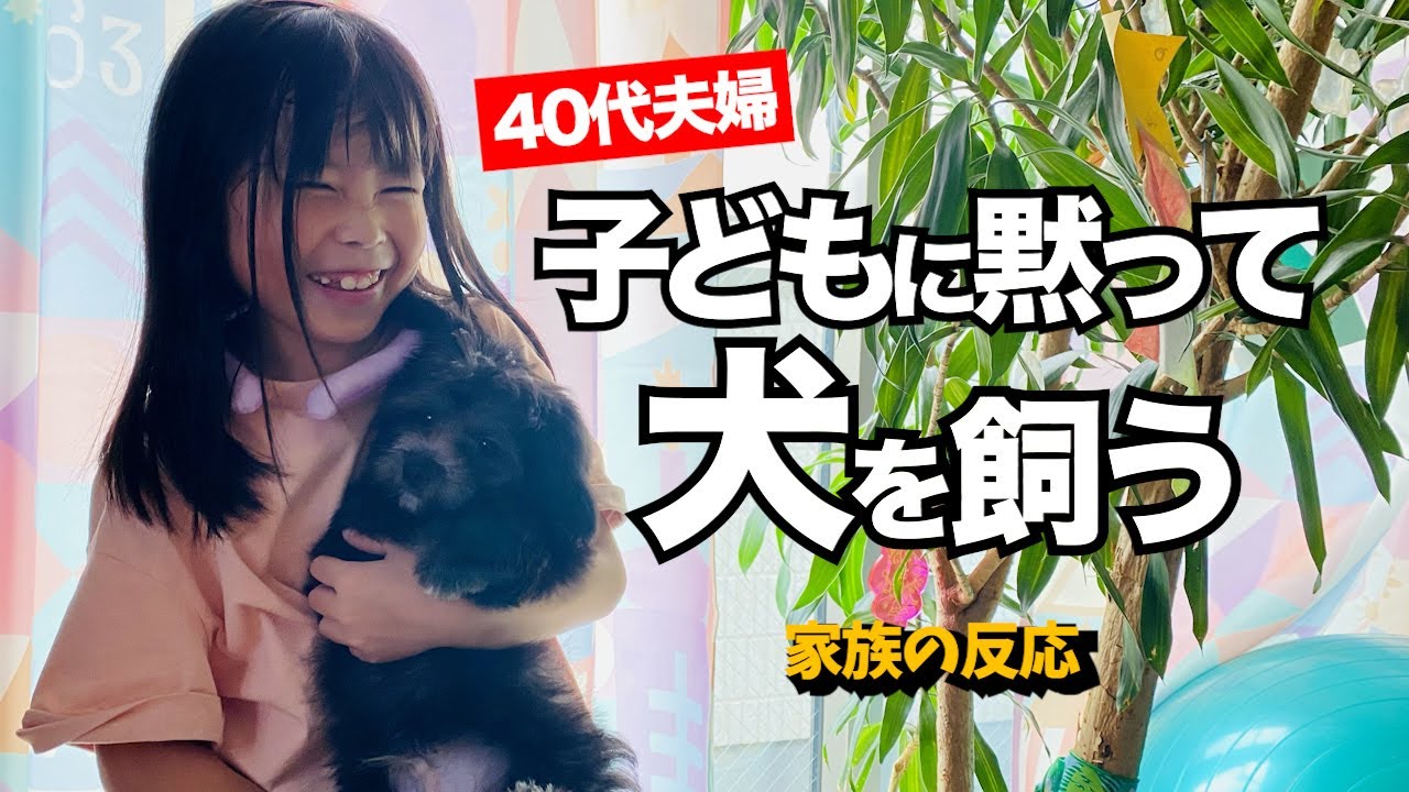 【サプライズ】三姉妹に内緒で犬を飼ってみたら反応が面白過ぎた（三女号泣）