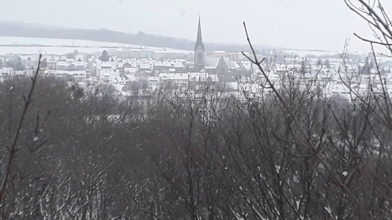 Hildesheimer Moritzberg im Winter 2021