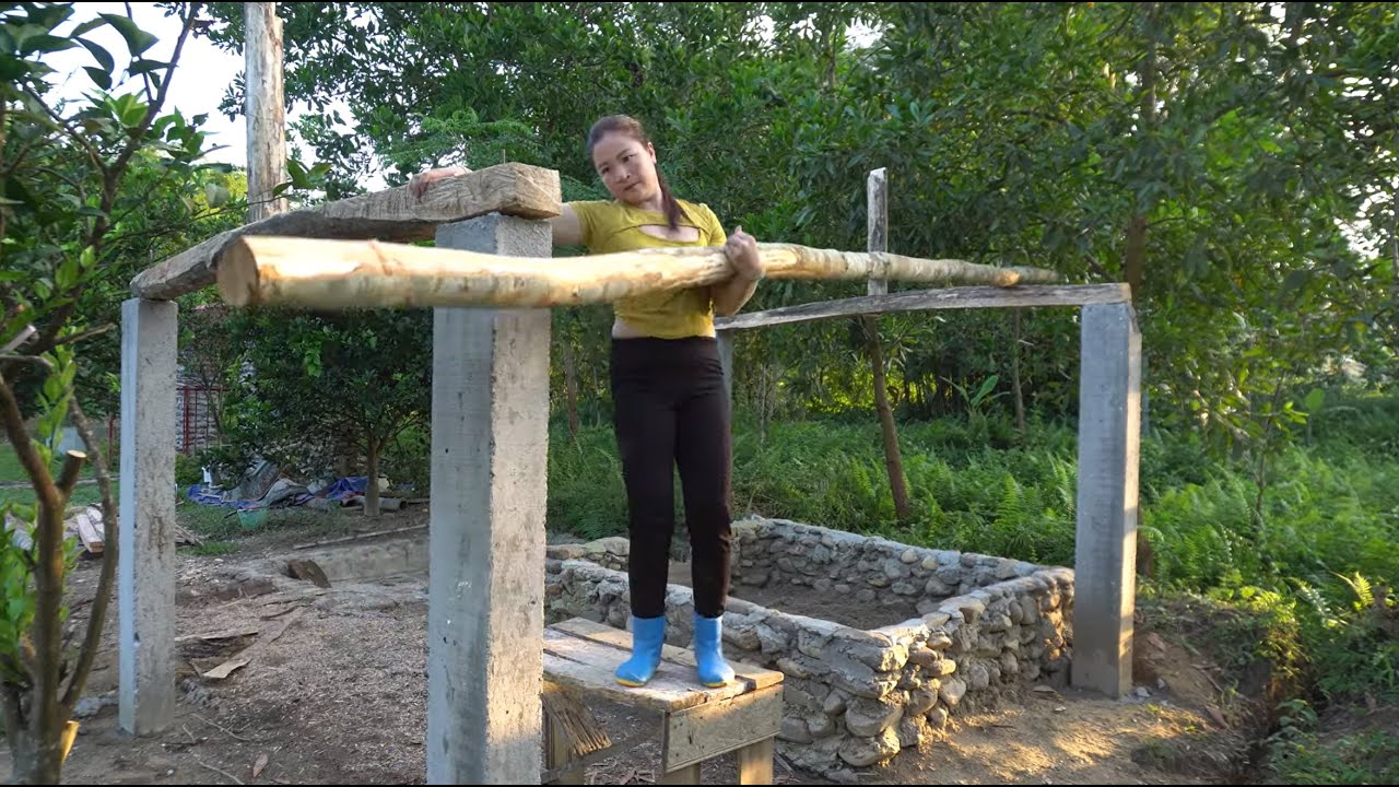 Girl Living the island Off Grid 2 Year Build a wooden house for ducks - Harvesting rice