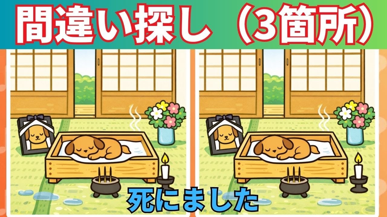 3つの間違いを探す｜間違い探し｜脳を鍛える｜専門家が語る｜このゲームに参加すると脳が20年若返る #13
