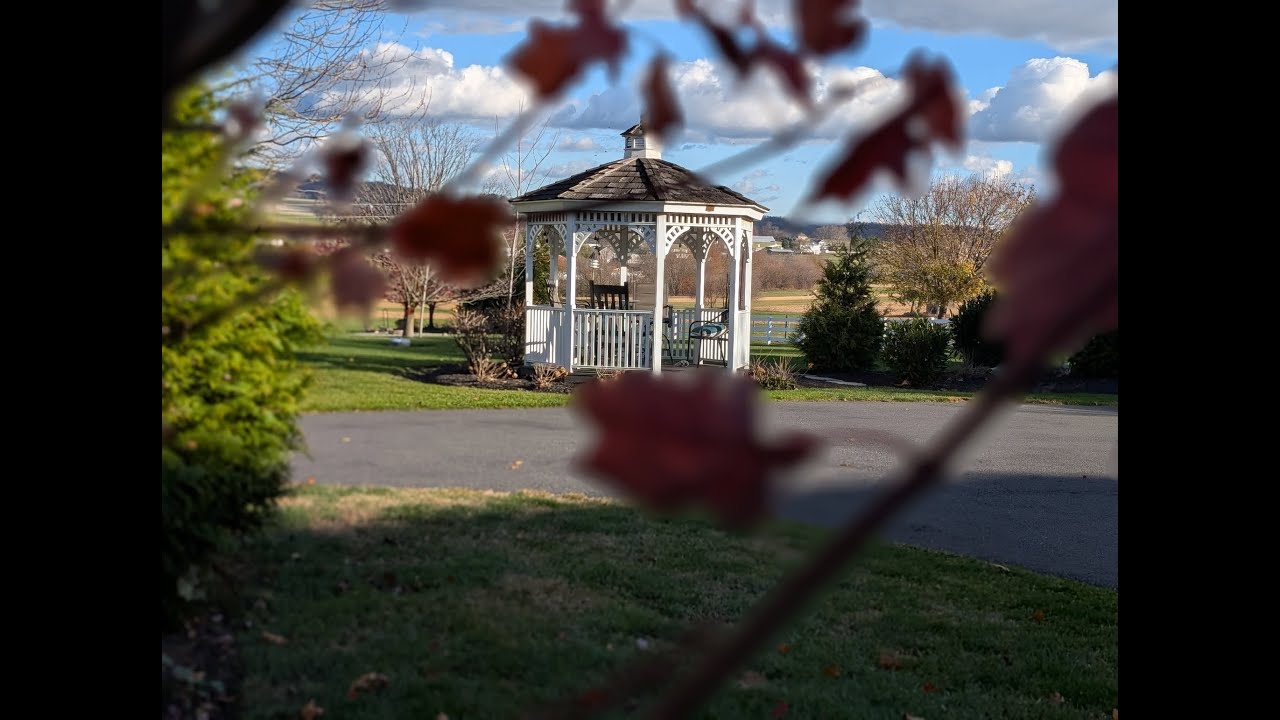 Знакомство с животными и пейзажами в гостевом доме Country View PA Bed & Breakfast