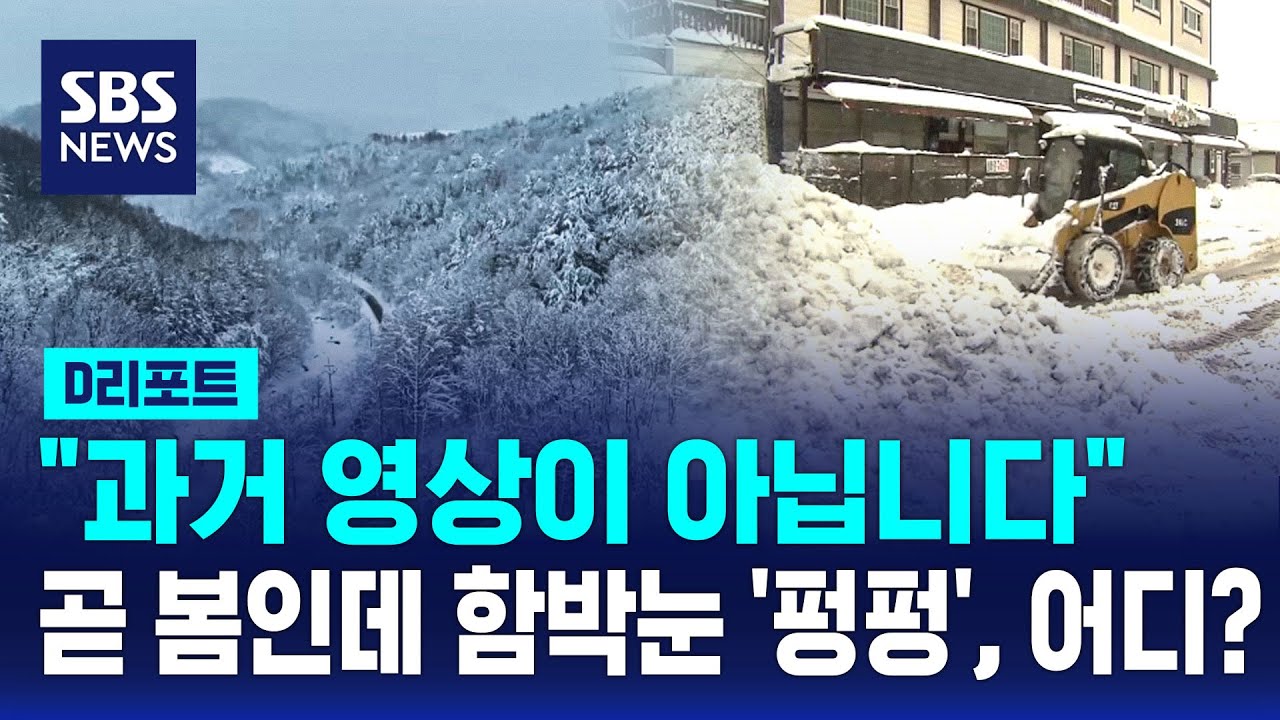 곧 봄인데…강원 산지 30㎝ 이상 폭설 / SBS / #D리포트