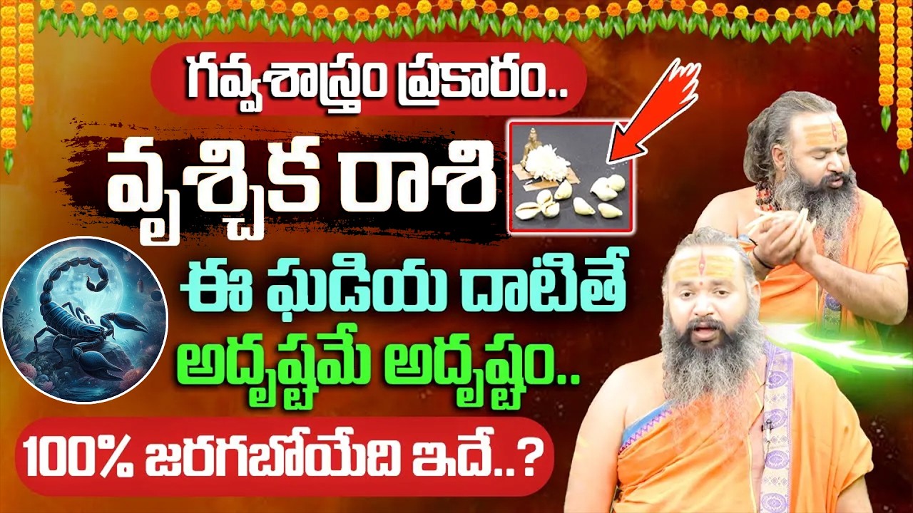 Vrushchika Rashi Phalithalu ఫిబ్రవరి 2026 | వృశ్చిక రాశి ఫలాలు ఫిబ్రవరి 2026 | గవ్వ శాస్త్రం అంచనాలు