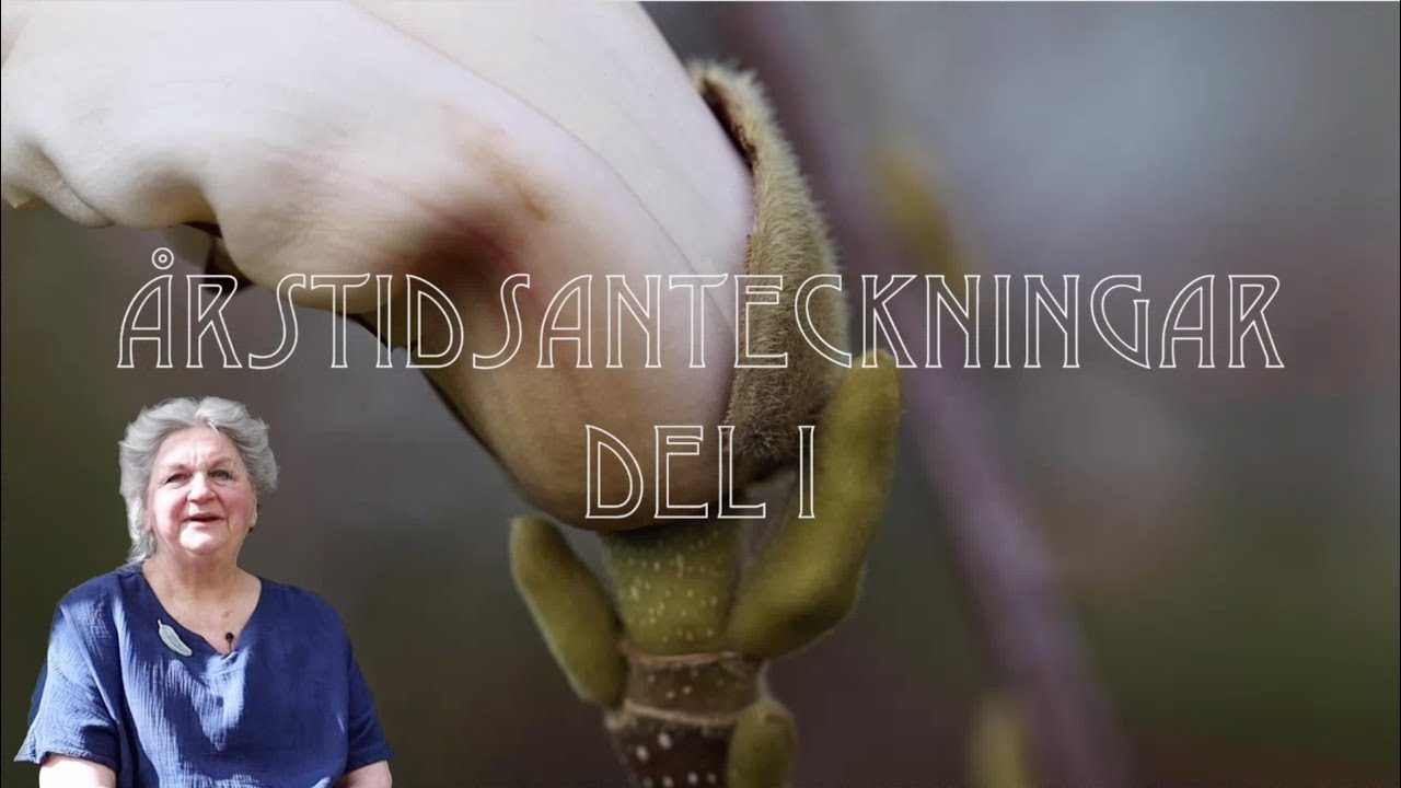 Årstidsanteckningar del 1