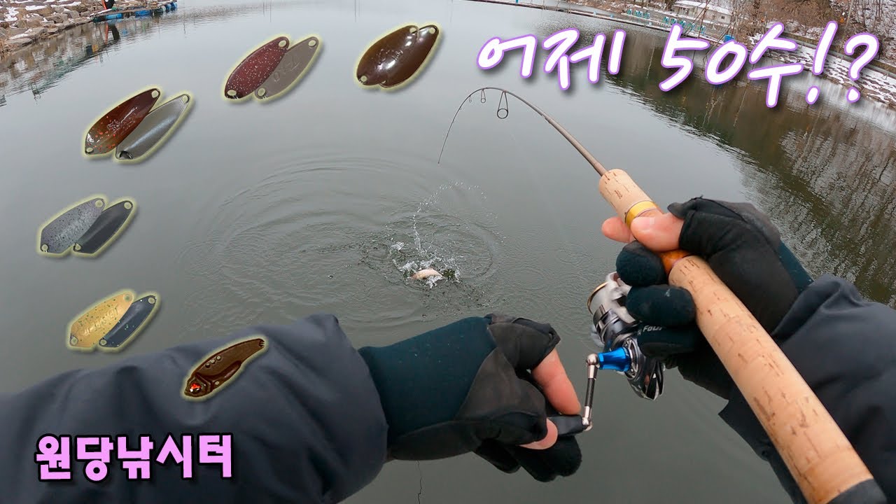 [송어낚시]오늘은 몇수? #송어 #원당낚시터