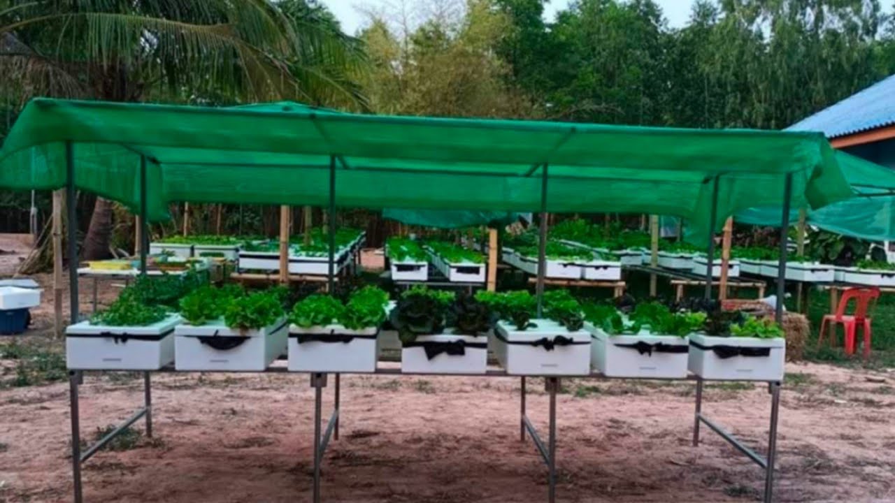 วิธีประกอบโรงเรือนปลูกผักไฮโดรโปนิกส์ทรงโมเดิร์น ขนาด 16 กล่อง