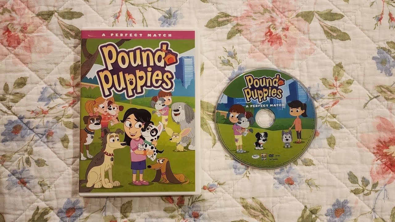 Opening To Pound Puppies A Perfect Match 2014 DVD