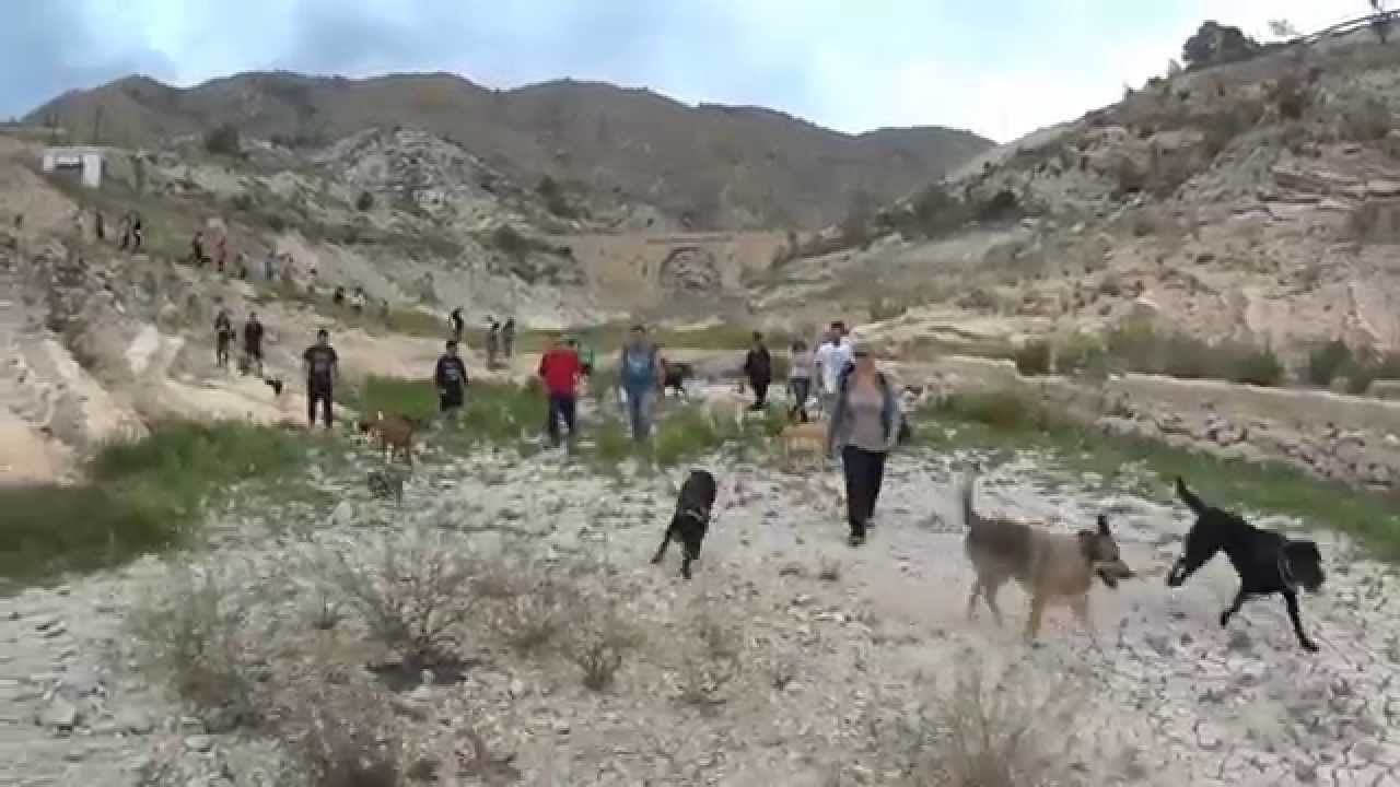 Tu perro no es un problema Senderismo con perros benidorm ruta 32 y 33